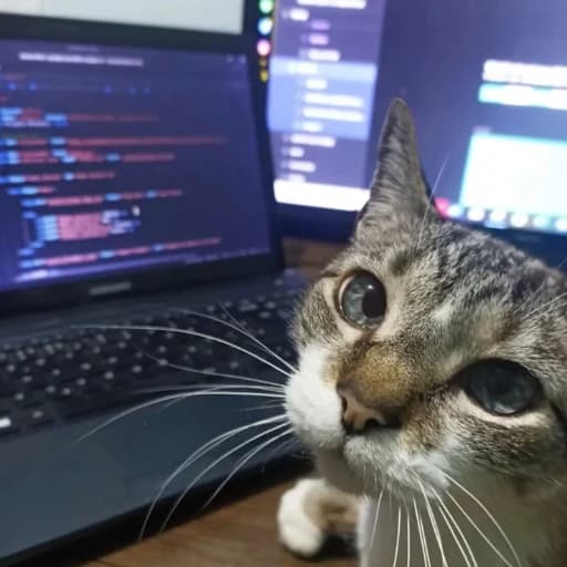Profil şəkli